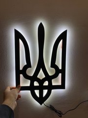Настінний декор, "Герб України" з підсвічуванням в один колір